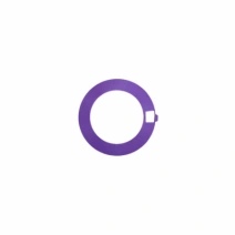Anel Sorgo Modelo Jumil Apollo Lilas 3,00mm Liso